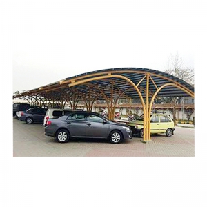 Car Parking Shed