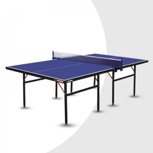 Tennis Table