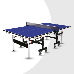 Tennis Table