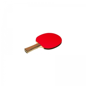 Table Tennis  Bat