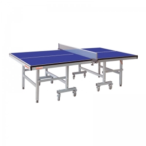 Table Tennis Table