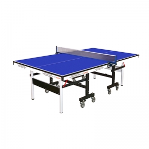 Table Tennis Table