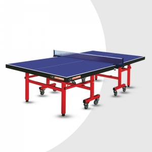 Tennis Table