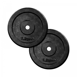 Weight Plate Iron