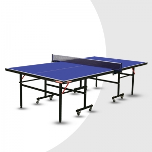 Tennis Table